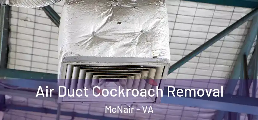  Air Duct Cockroach Removal McNair - VA
