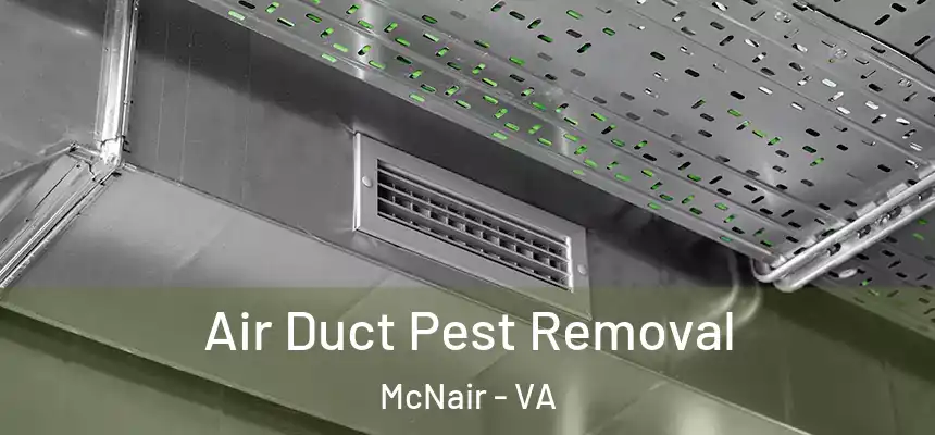  Air Duct Pest Removal McNair - VA