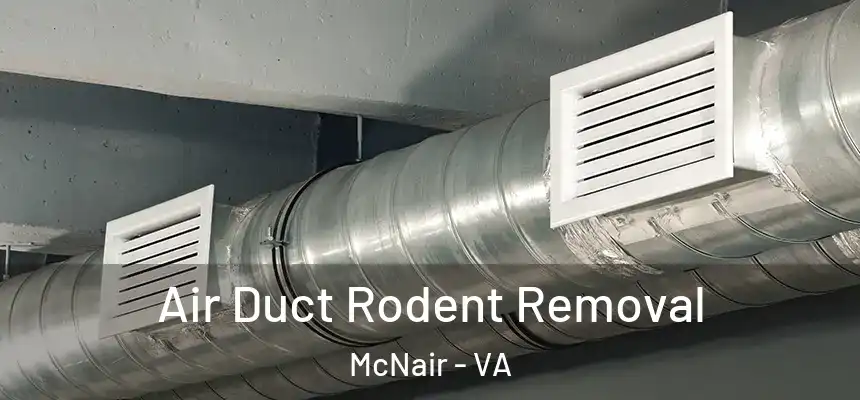  Air Duct Rodent Removal McNair - VA