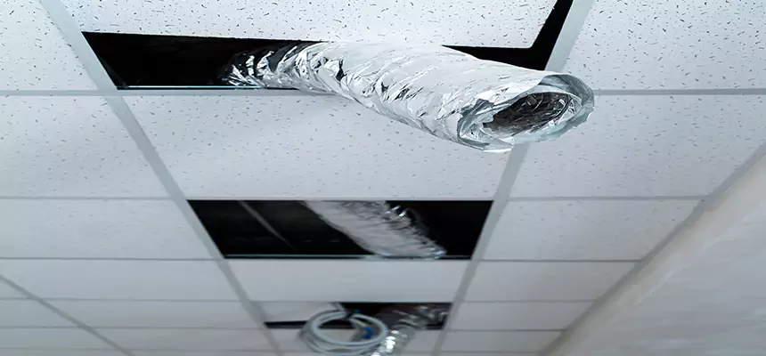 Our Air Duct Pet Hair Removal Services in McNair, VA