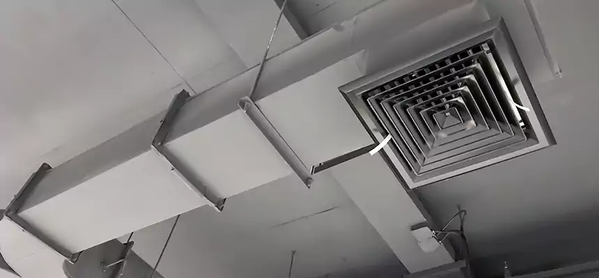 Restorative Allergy Relief Vent Cleaning – Coil, Blower & Housing Detail in McNair