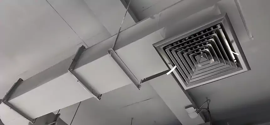 Our Pest Removal From Ducts Services in McNair, VA