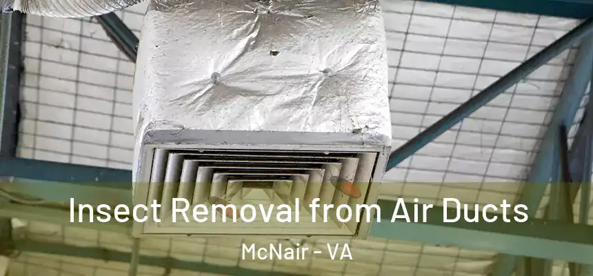  Insect Removal from Air Ducts McNair - VA