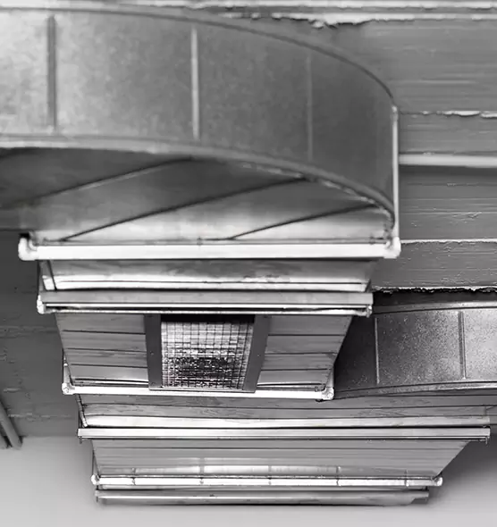 Professional Air Duct Pest Removal in McNair, VA