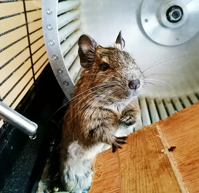 Why Homeowners & Businesses Trust Us McNair, VA?